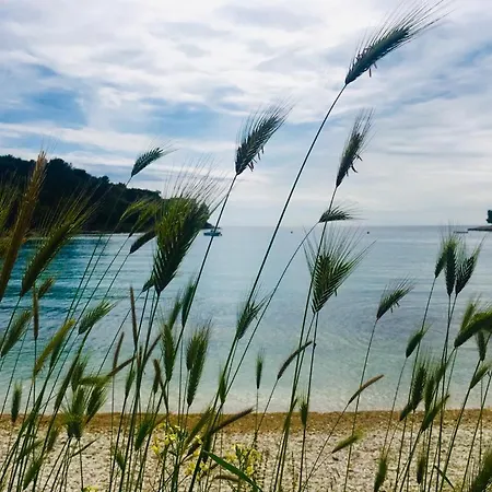 In The Center & & Quiet * Pula