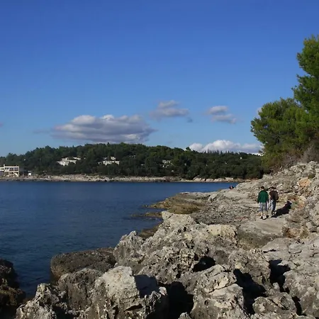 Apartamento In The Center & & Quiet *