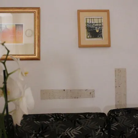 Apartamento In The Center & & Quiet *