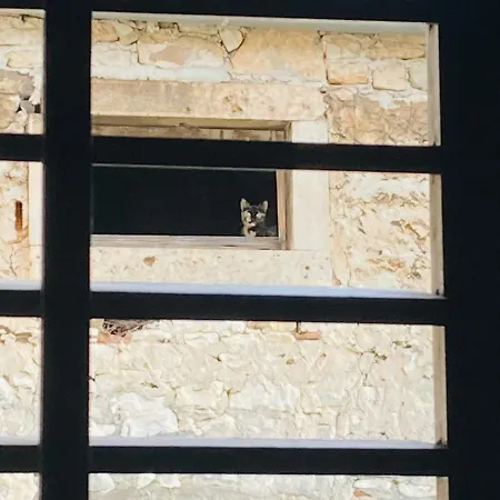 Daire In The Center & & Quiet