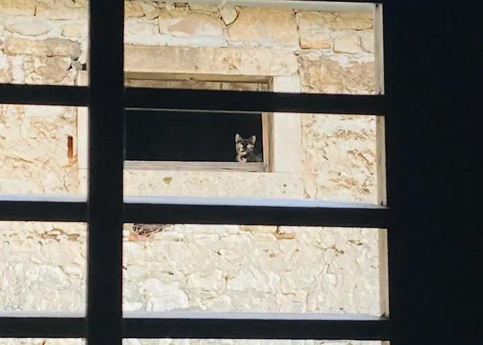 Lägenhet In The Center & & Quiet