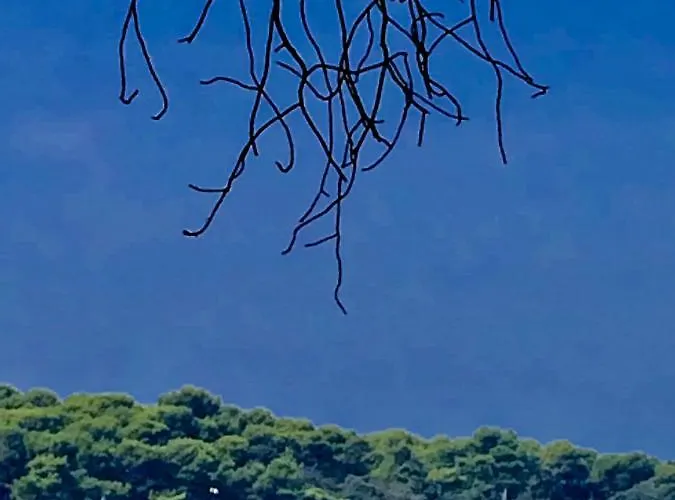 Lägenhet In The Center & & Quiet