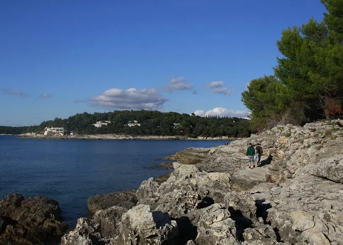 Lägenhet In The Center & & Quiet *